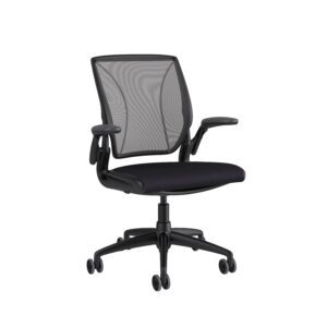 Humanscale Diffrient World Chair - Black