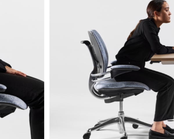 Importance of Good Posture: How Ergo Products Can Help to Maintain It!